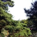 제일파출부 네이버블로그