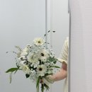 청주 야외 웨딩 스냅 '젬마스튜디오 아트레이블' 후기