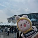 데이식스 포에버영 앙콘 첫막콘 후기를 또 이루케˚₊·—̳͟͞͞♥