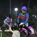 영은축산 이미지