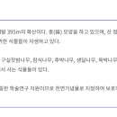 제주 산방산 암벽식물지대 이미지