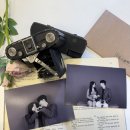 대가옥 | 포항 구룡표 일본인가옥거리+동백꽃필무렵 촬영지 까멜리아 카페+과메기박물관+근대역사관+포항 가볼만...