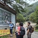 26년 8월22일 연인산 명품길 트레킹/리딩: 원석대장님 이미지