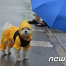 한잔더주