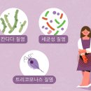 힐링산부인과의원 네이버블로그