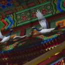 일출선원 - 1649 | 일출선원