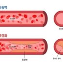 세포농장 네이버블로그