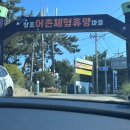 삼척장호어촌체험휴양마을 | [강원도 삼척]장호항 장호어촌체험마을 배낚시 '일선호' 추천