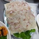 금빛선어