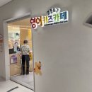 원어민 영어 | 여의도 브라이튼 도서관 영등포 영어키즈카페 원어민수업 후기 + 예약방법