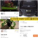 민화실 | [당근마켓 거래후기]씨디플레이어 ,필립스 포터블 오디오 3천원! 별걸다파는 당근,루꼴라 모종까지?