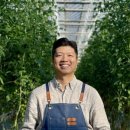 토마토2 이미지