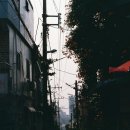 스캔프로 이미지