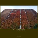 서소문로11길 이미지