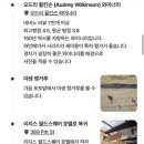 취해 - 강릉시 하슬라로232번길 14-12 | [시드니] 헌터밸리 와이너리 투어, 대낮부터 얼큰하게 취해버린 후기🍇🍷
