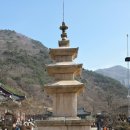 밀양댐오토캠핑장 Daum카페