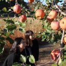 현모농장 이미지