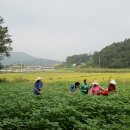 송선담떡집
