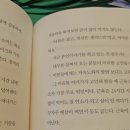 비아이오성형외과의원 이미지