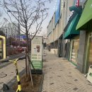 세종시 젤라또 해밀동 아이스크림 밀스젤라또 후기