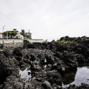 제주클래식위미 이미지