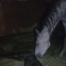 순산목장 이미지