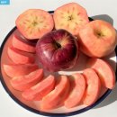 이마트24(작전역점) | 100일 절약 챌린지 / 24-28일차 / 과소비의 나날들