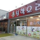 청학오리