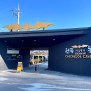 천곡황금박쥐동굴 이미지