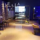 보보스 휘트니스 이미지