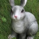 남곡초등학교(병설) 이미지