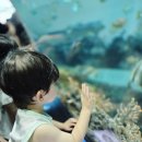 영도조선(주) | 부산 아이랑 실내갈만한곳 아쿠아리움이 있는 영도 국립해양박물관 어린이박물관