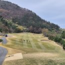 골든오션