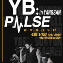 YB:PULSE 음악을 나누다. 이미지