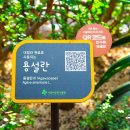 (해설이있는)힐링영화 이미지