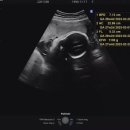 여주-1139 이미지