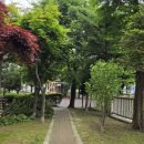 옥정마트약국 이미지