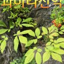 산과바다산약초
