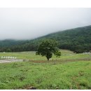 발현목장 이미지