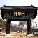 천년의향기 네이버블로그
