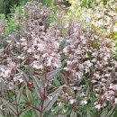 스테이오 이미지