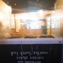 불타는통돼지