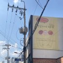 호펫 강아지 고양이 성신여대본점 | 6.3.-6.9.