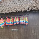 에코랜드수영장 이미지