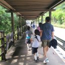 금용화성 | 도심 속 이색 피서지! 광명 가볼만한곳 광명동굴 후기 여름 가족 나들이 추천!