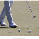 비엠 골프클럽 이미지