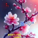 성진당구장 - 사하구 장림번영로 25 | 성진당구장