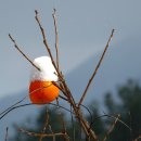 지리산둘레길 2코스 이미지