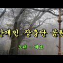 안개낀 장충단 공원 / 배호 이미지