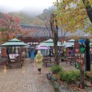 비선대만남의광장 이미지